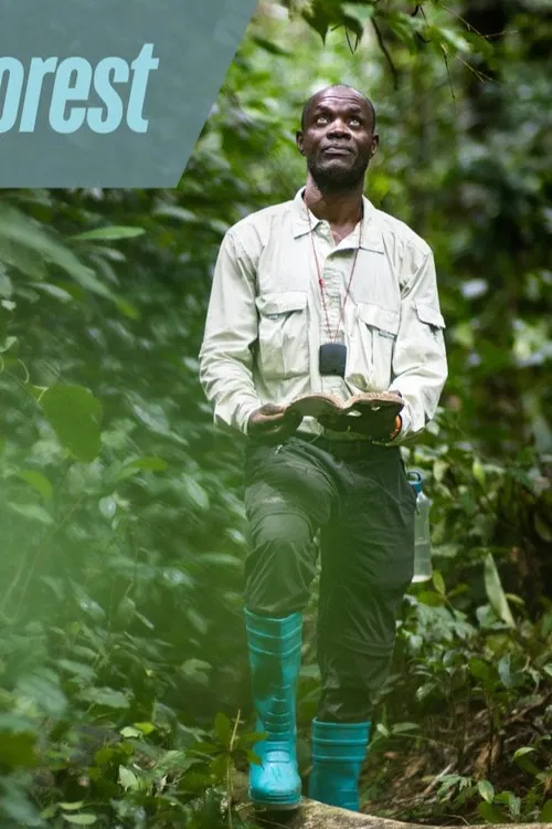 Eyes on the Forest poster