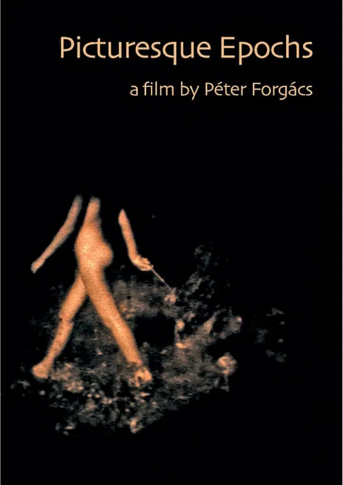 Picturesque Epochs poster