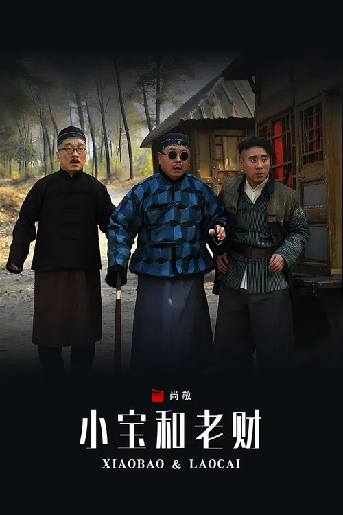 小宝和老财 poster
