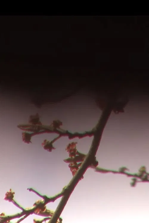 Nuestras Cartas poster