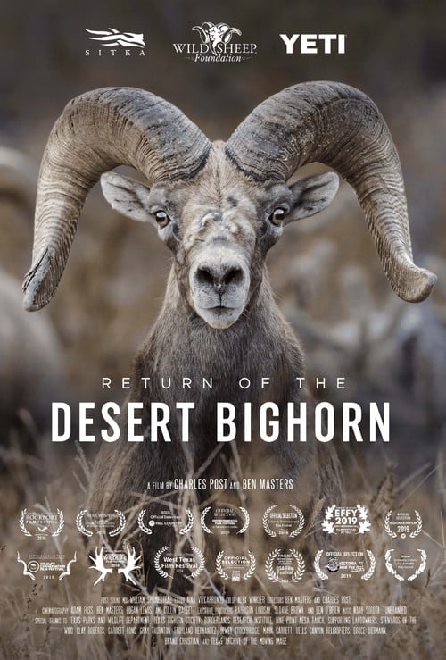 Return of the Desert Bighorn poster