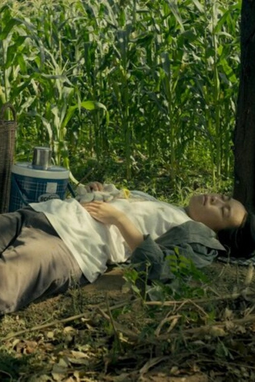 Spirits of the Black Leaves poster