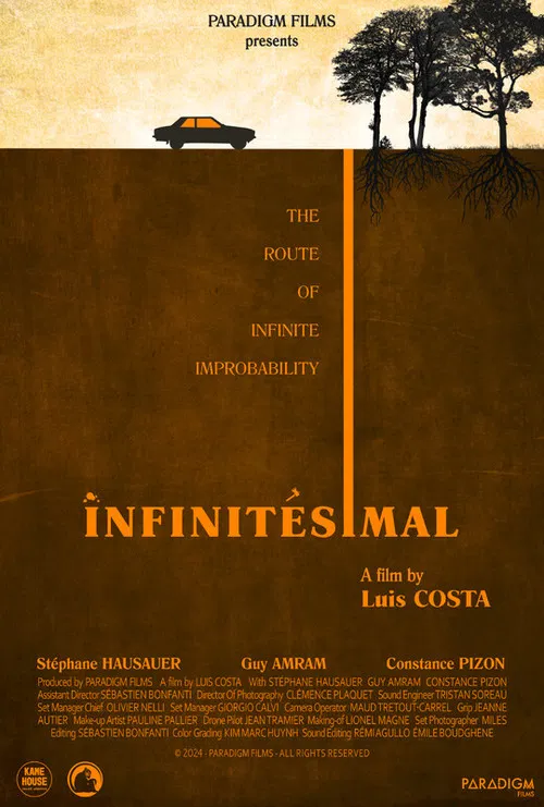 Infinitesimal poster