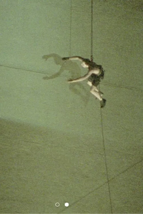 Pichón en el Obelisco poster