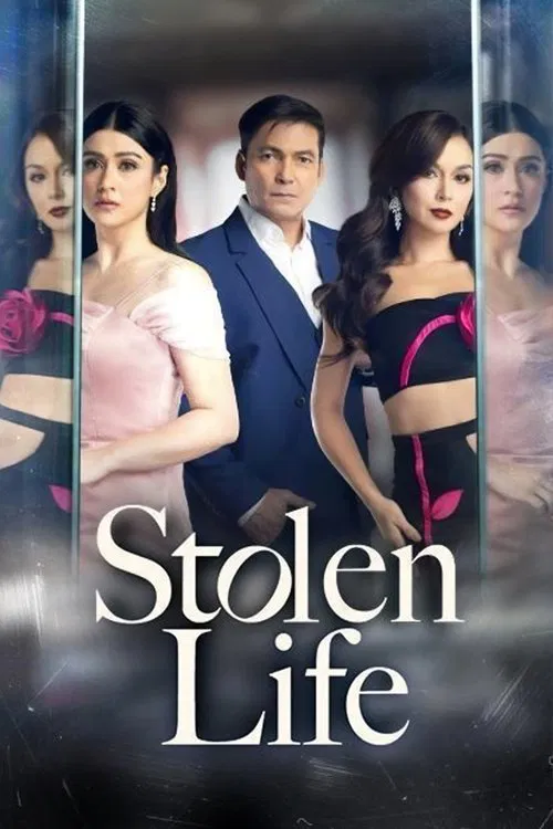 Stolen Life poster