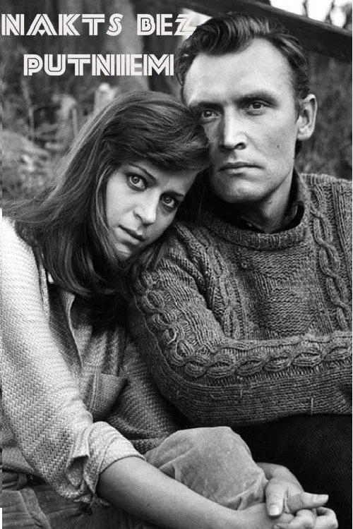 A Birdless Night poster