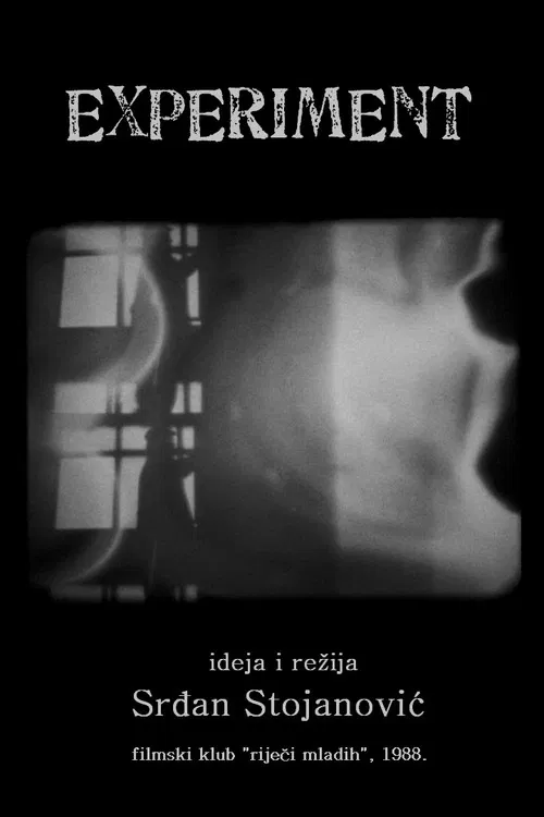 The Experiment poster