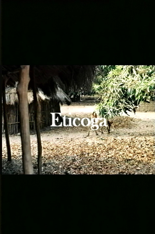 Eticoga poster