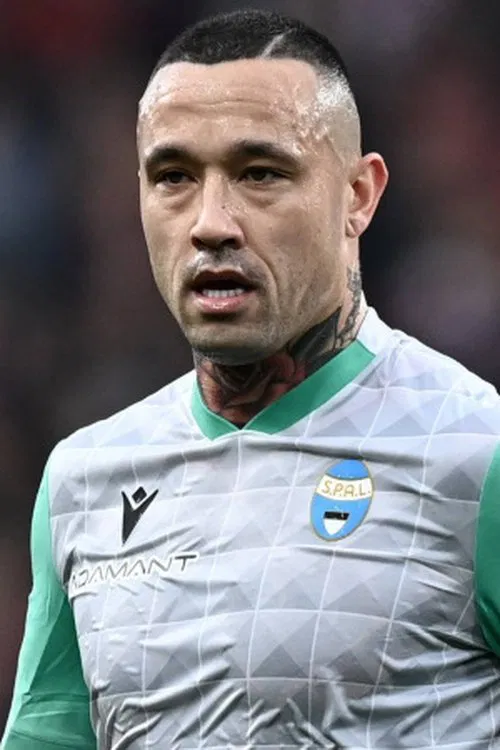 Radja Nainggolan profile