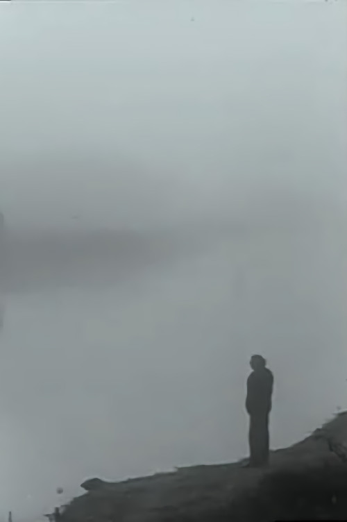 Strawberry Fields poster