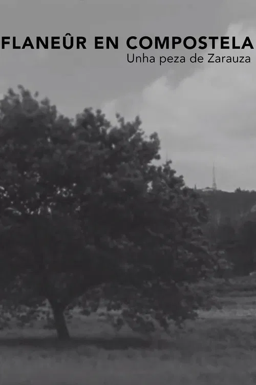 Flanêur en Compostela poster