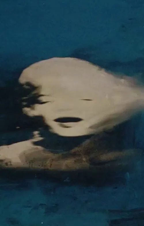 Biennale di Venezia 56° - Sigla poster