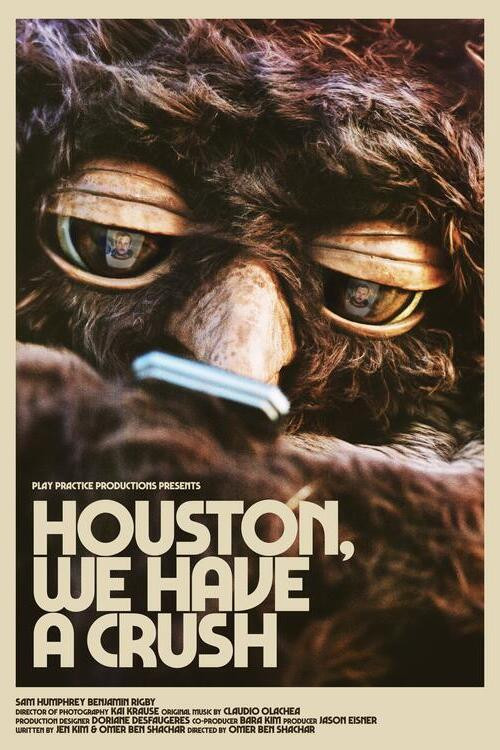 Houston, We Have a Crush poster