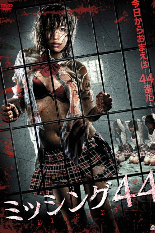 Missing 44 poster