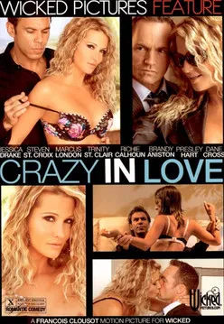 Crazy in Love poster