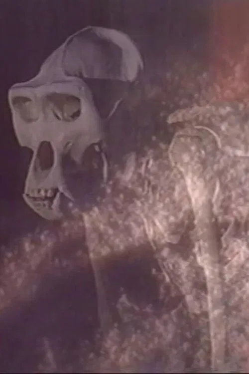 Esprits de Sel poster