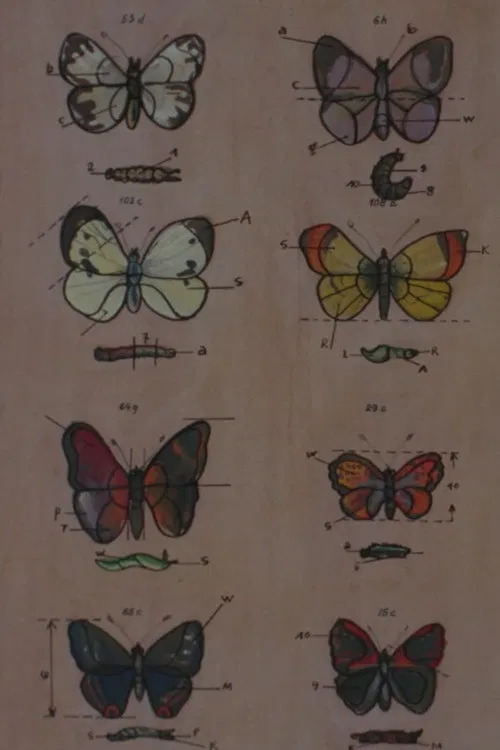 Lekcja anatomii poster