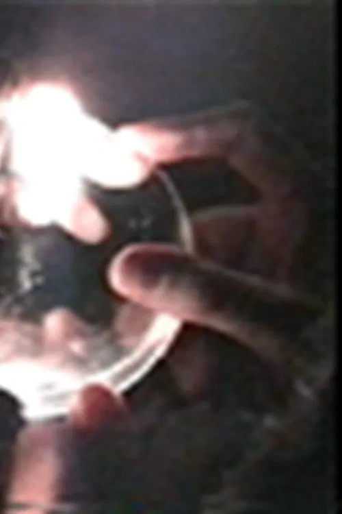 Subverted Horseplay poster