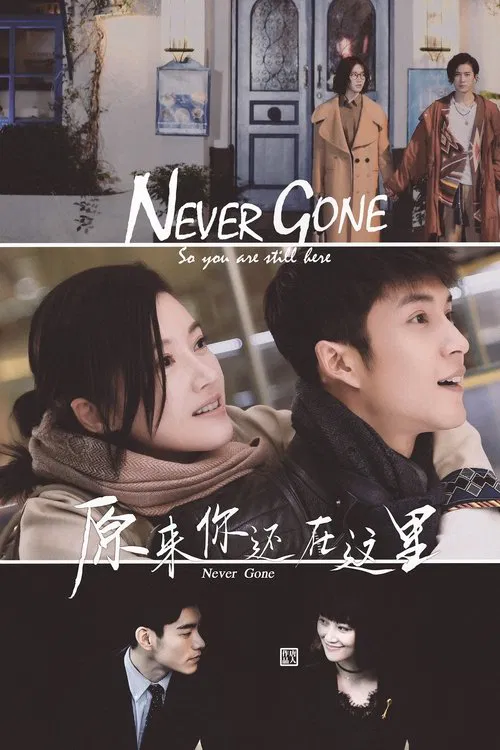 Never Gone poster