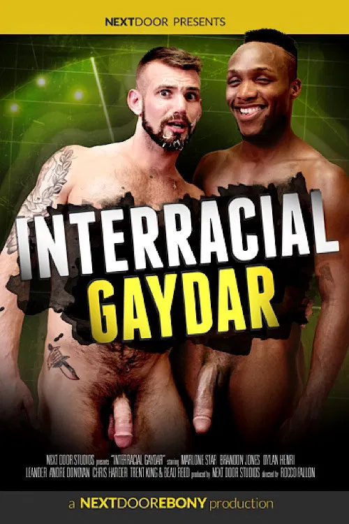 Interracial Gaydar poster