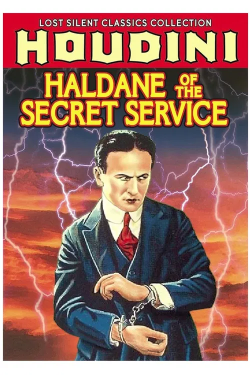 Haldane of the Secret Service poster