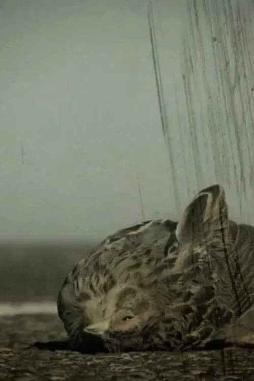 Ángel caído poster