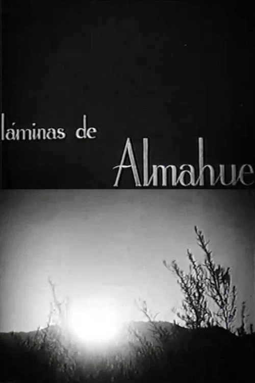 Láminas de Almahue poster