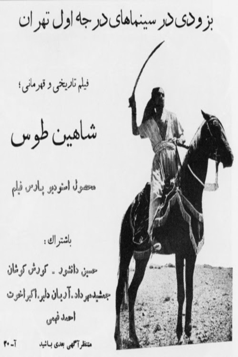 Shahin Toos poster background