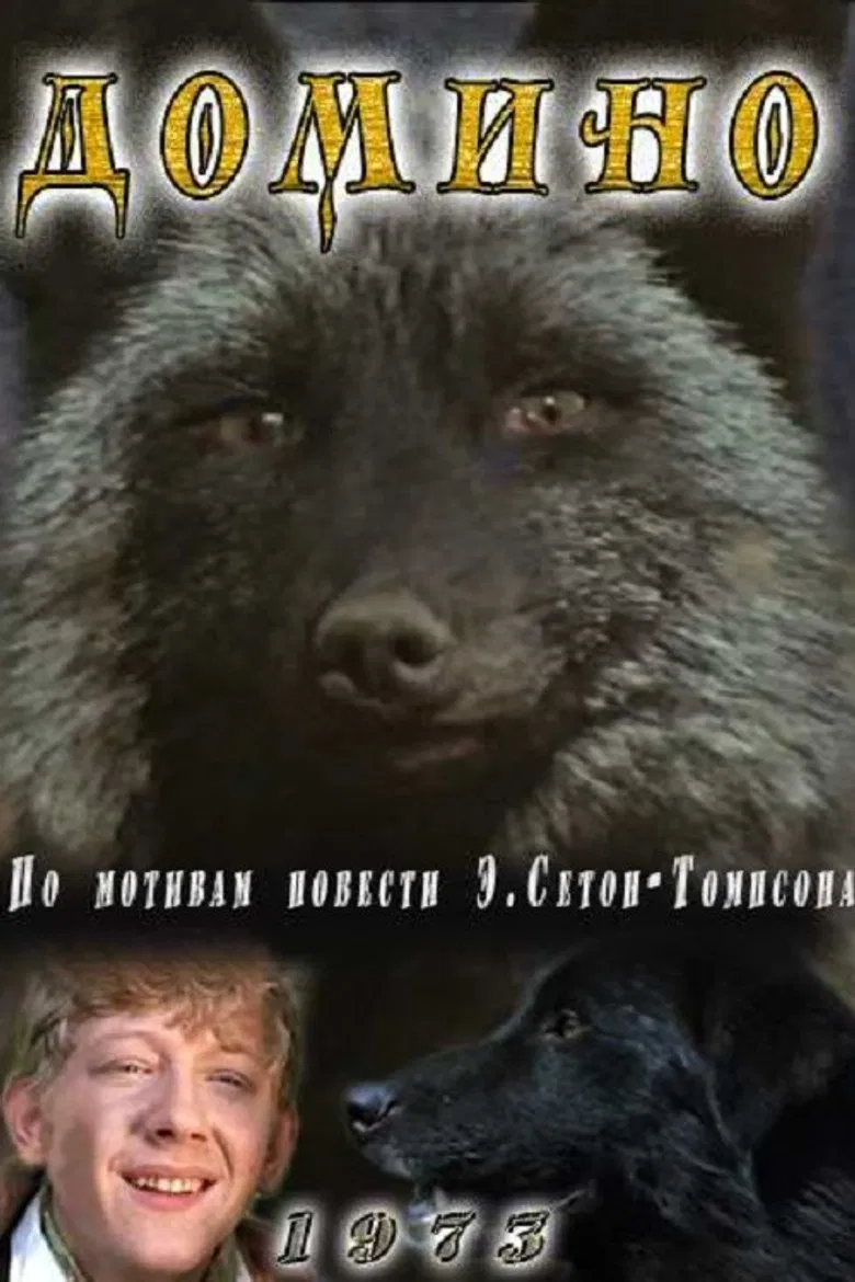 Domino poster background