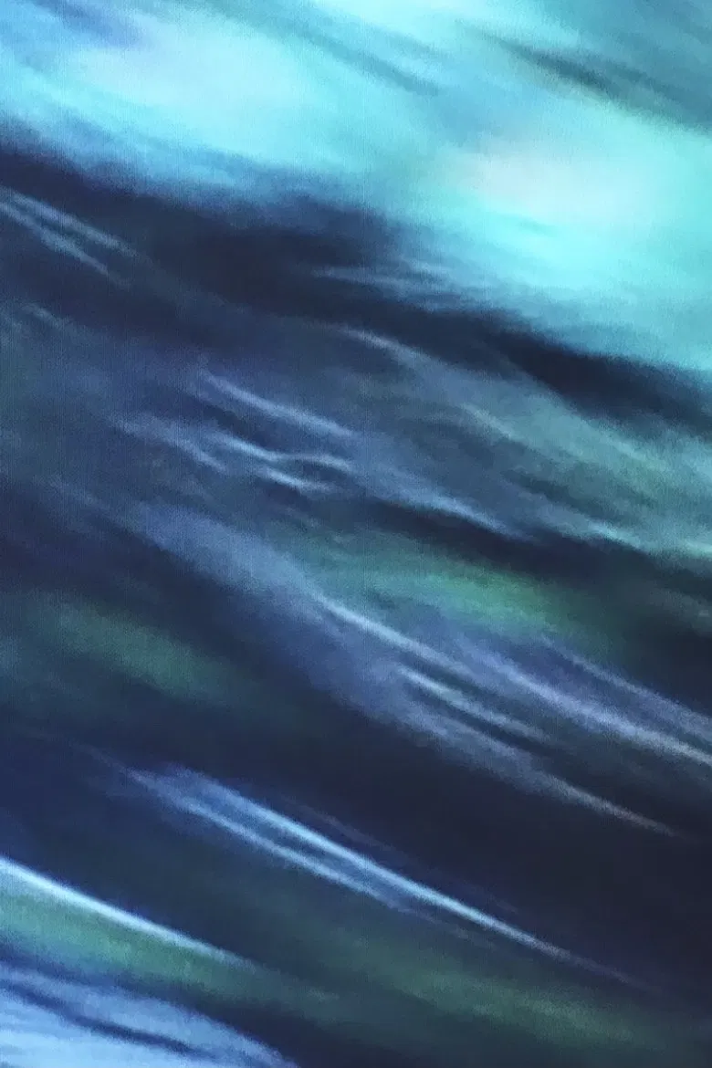 Le Zoo poster background