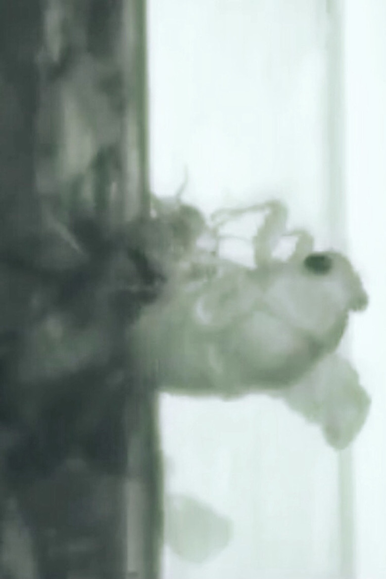 Un Ange Passe poster background