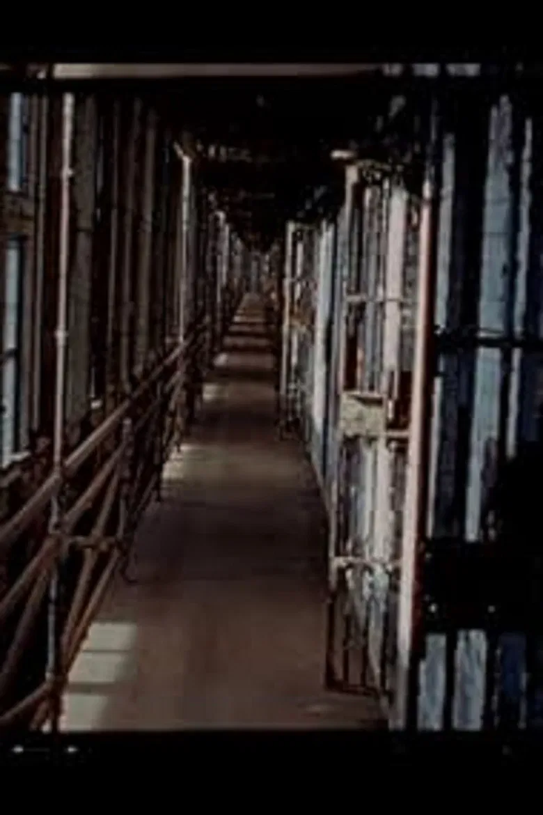 Air Force Two poster background