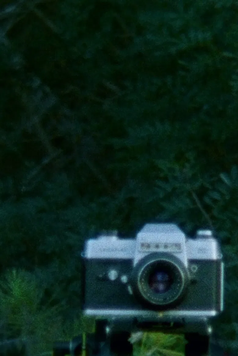 A Is CID poster background