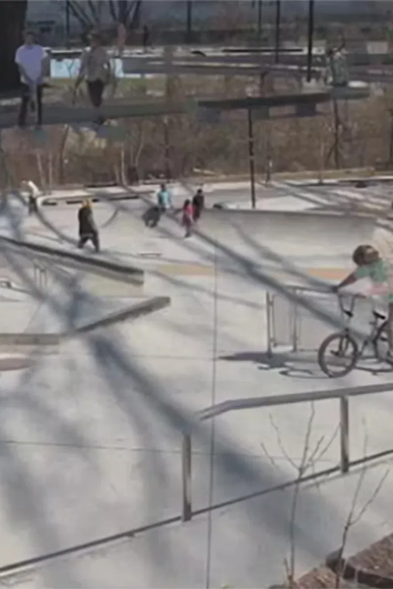 Dimensional Excursions poster background