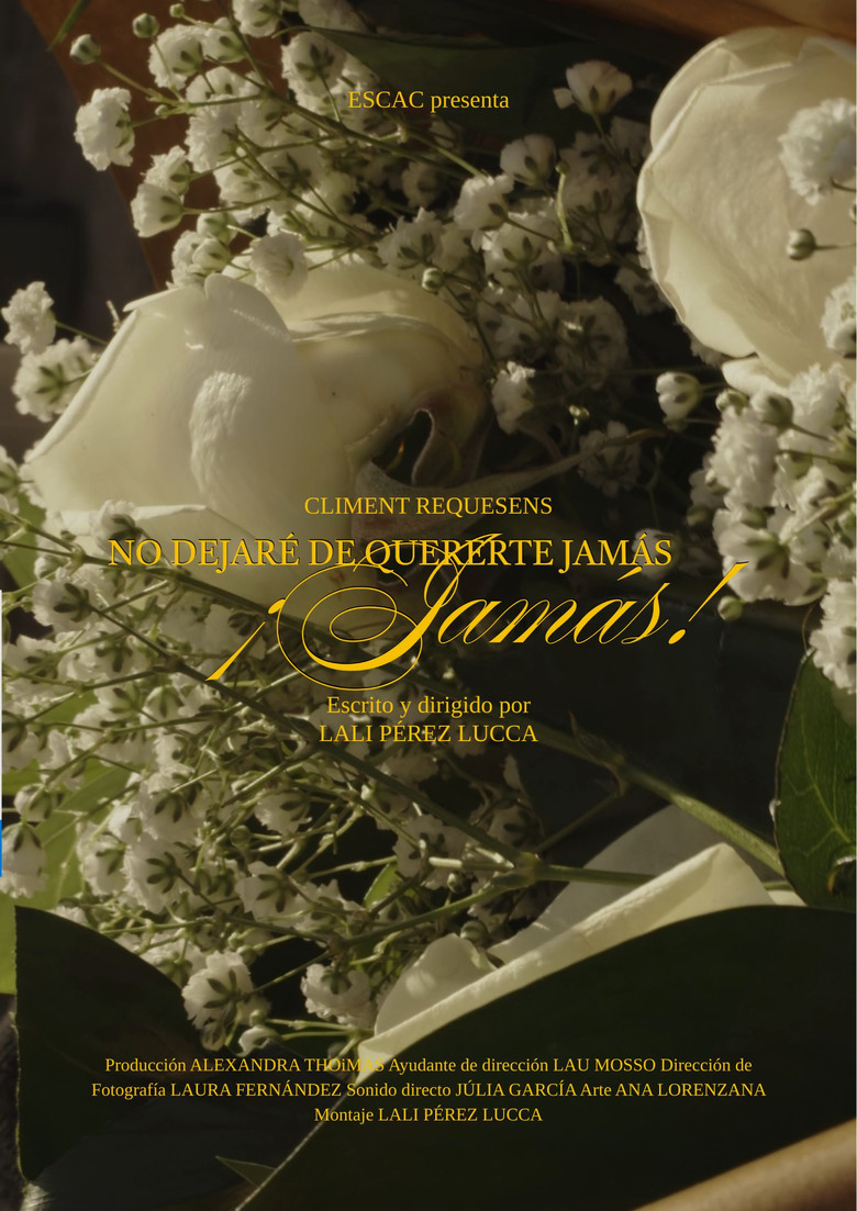No dejaré de quererte jamás, ¡Jamás! poster background
