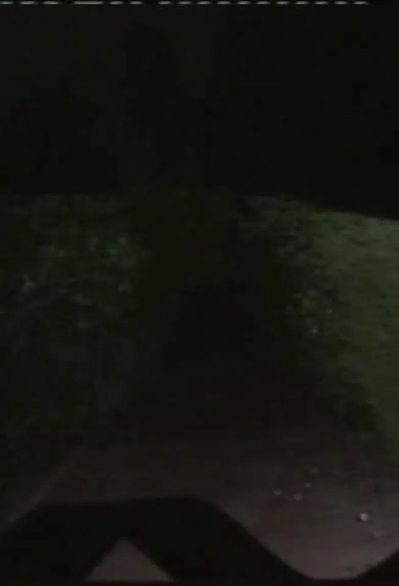 Vórtice Magnético ou Mecanismo de Dobra Fantasmática poster background