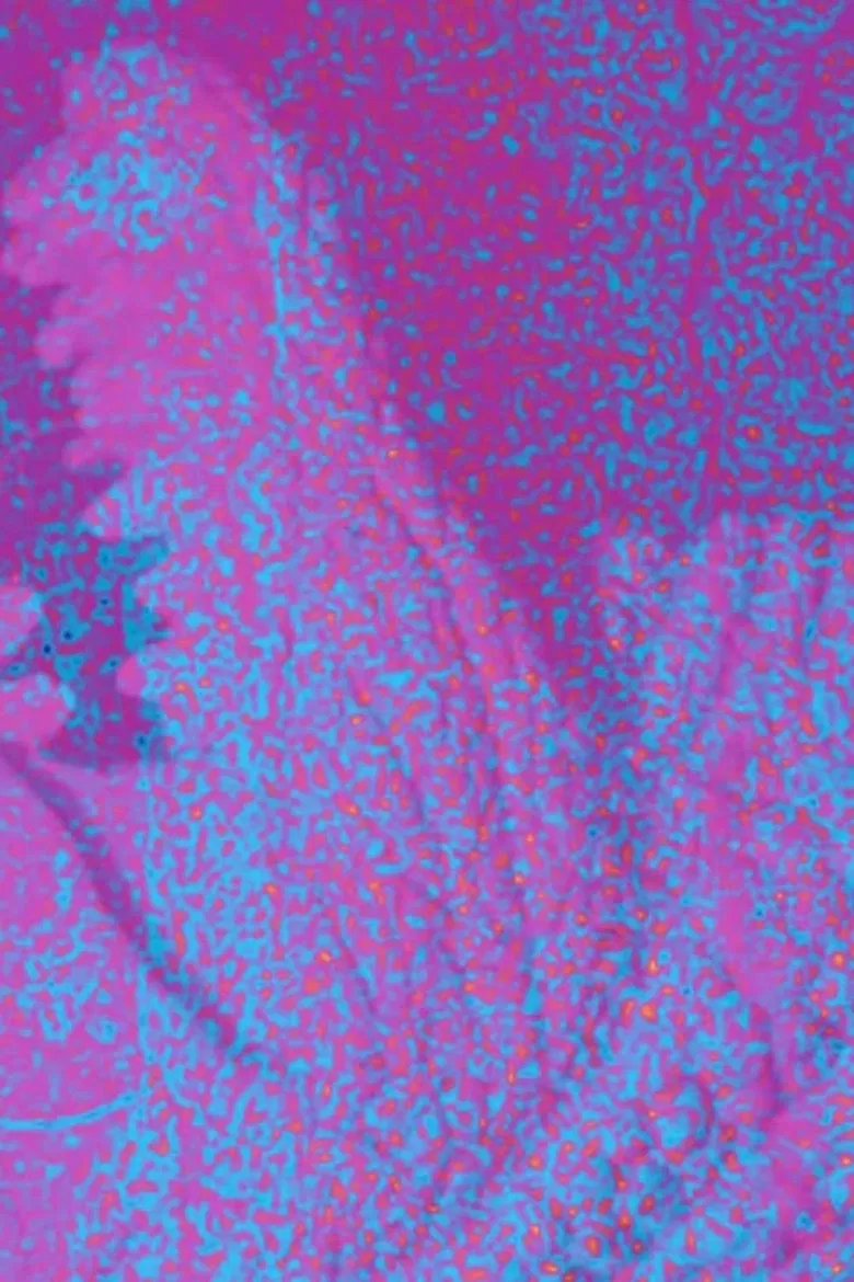 Jeb Rex Memorial Video poster background