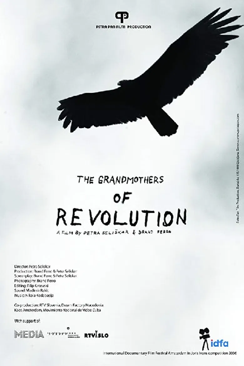 The Grandmothers of the Revolution poster background