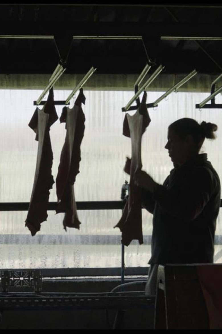 Unskinned poster background