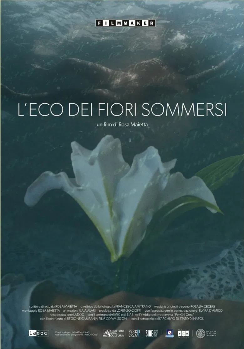 L'eco dei fiori sommersi poster background