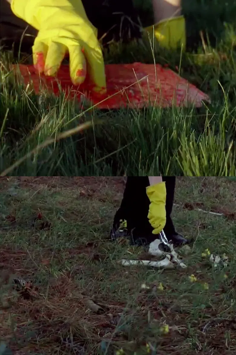 Ossein poster background