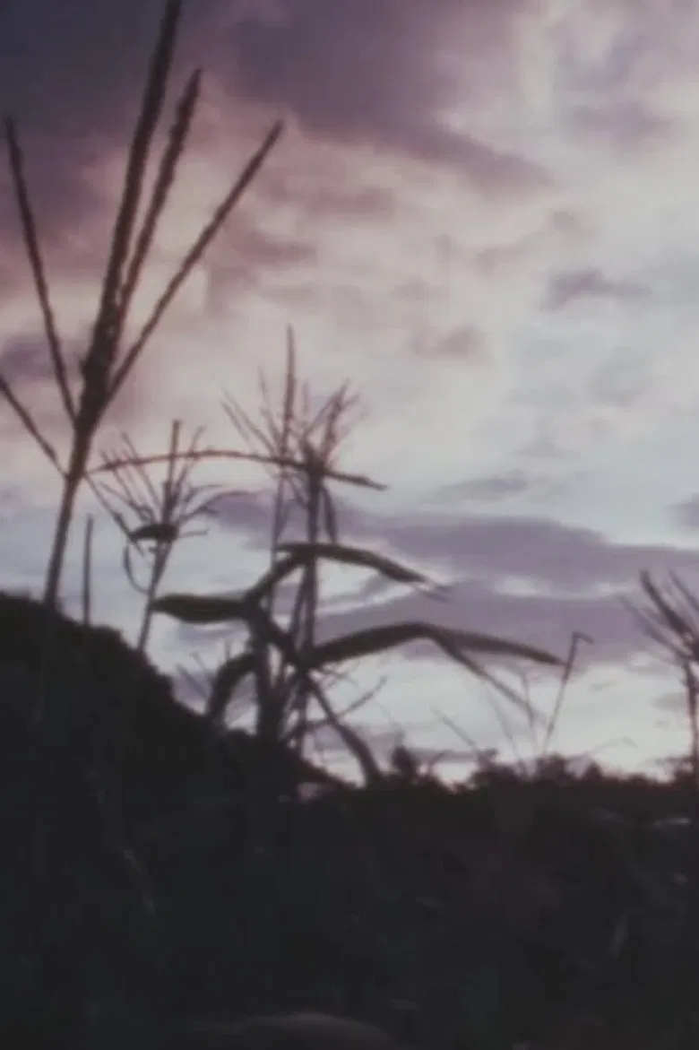 Eat a lot of Cabbage poster background