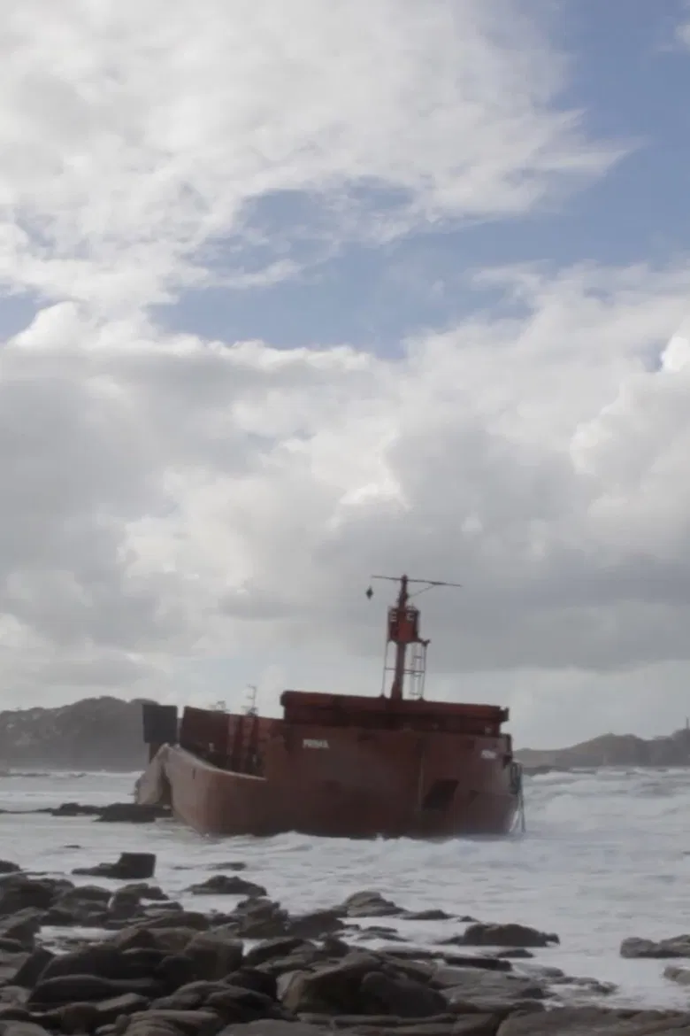 Ai Capitán! poster background