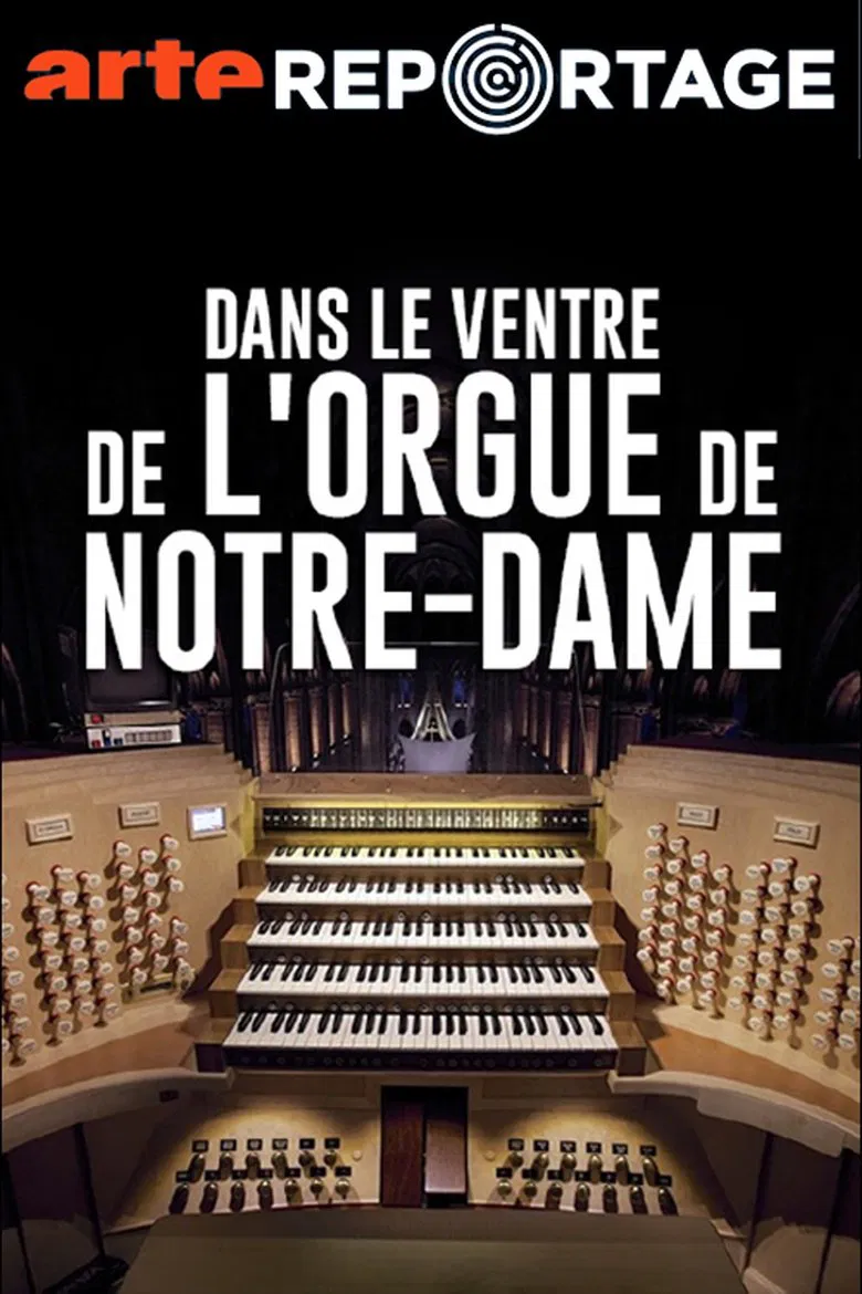 Dans le ventre de l'orgue de Notre-Dame poster background