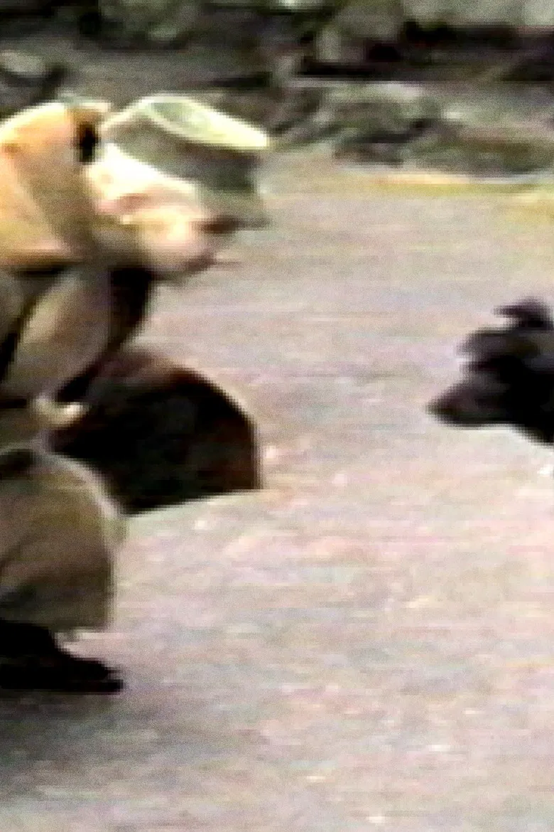 L'incident "Jones" poster background