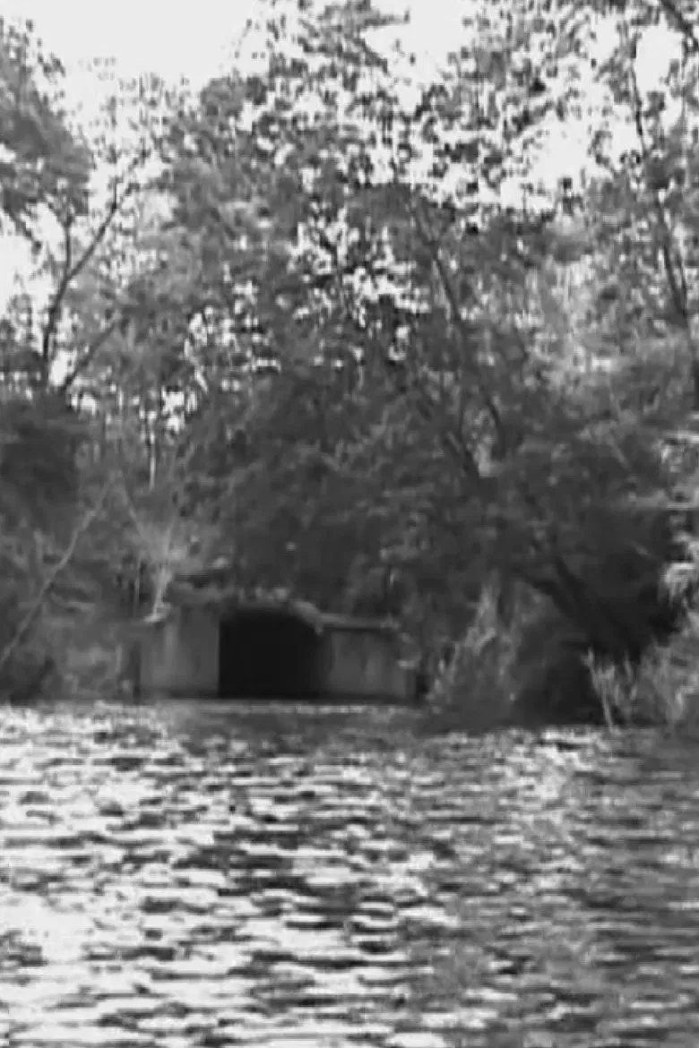 The Name is not the Thing named poster background