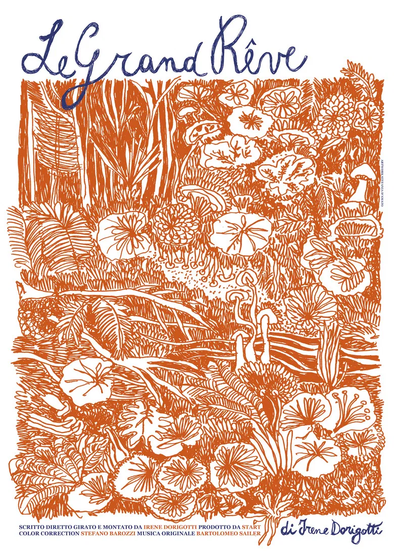 Le grand rêve poster background