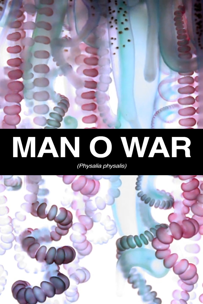 Man O War poster background