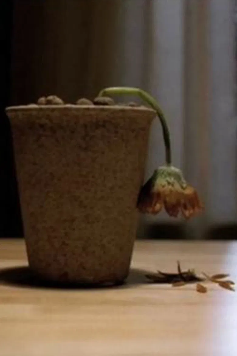 Flower Beloved poster background