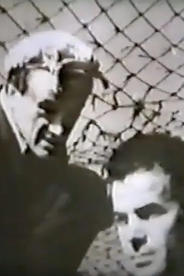 Aeroporto poster background